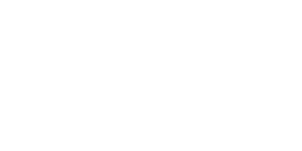 DragosWeb Logo